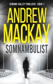 Somnambulist