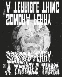 Sondra Perry: A Terrible Thing