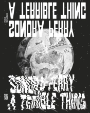 Sondra Perry: A Terrible Thing