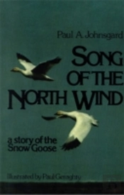 Song Of The North Wind