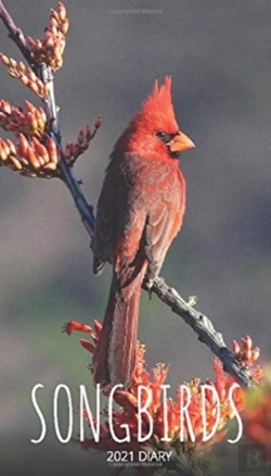 Bertrand.pt - Songbirds 2021 Diary