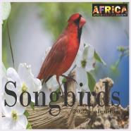 Songbirds Calendar 2022