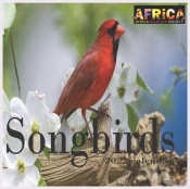 Songbirds Calendar 2022