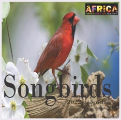 Bertrand.pt - Songbirds Calendar 2022