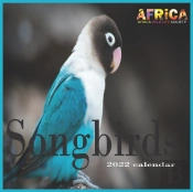Songbirds Calendar 2022