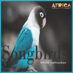 Bertrand.pt - Songbirds Calendar 2022