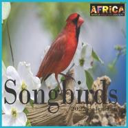 Songbirds Calendar 2022