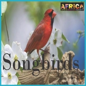 Songbirds Calendar 2022