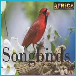 Bertrand.pt - Songbirds Calendar 2022