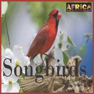 Songbirds Calendar 2022