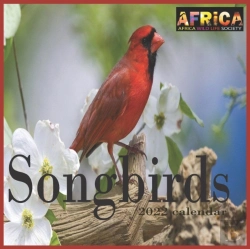 Bertrand.pt - Songbirds Calendar 2022