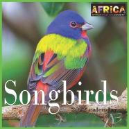 Songbirds Calendar 2022