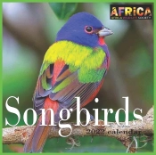 Songbirds Calendar 2022