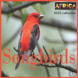 Bertrand.pt - Songbirds Calendar 2022