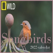 Songbirds Calendar 2022