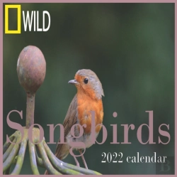 Bertrand.pt - Songbirds Calendar 2022
