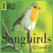 Songbirds Calendar 2022