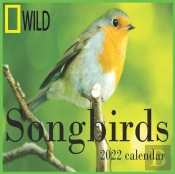 Songbirds Calendar 2022