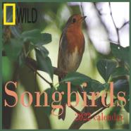 Songbirds Calendar 2022