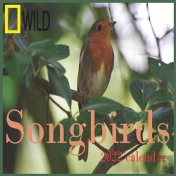 Bertrand.pt - Songbirds Calendar 2022