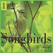 Songbirds Calendar 2022