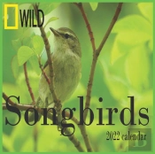 Songbirds Calendar 2022