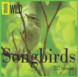 Bertrand.pt - Songbirds Calendar 2022