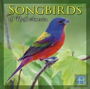 Songbirds Of North America