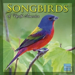 Bertrand.pt - Songbirds Of North America