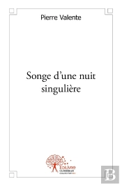 Songe D'Une Nuit Singulière