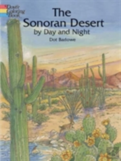 Bertrand.pt - Sonoran Desert By Day And Night