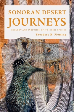 Bertrand.pt - Sonoran Desert Journeys