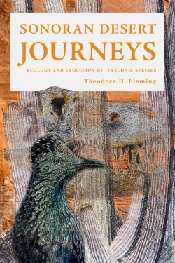 Bertrand.pt - Sonoran Desert Journeys