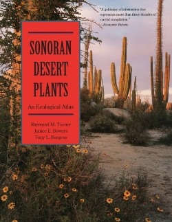 Bertrand.pt - Sonoran Desert Plants
