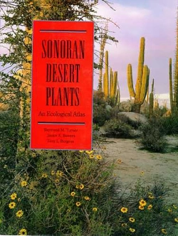 Bertrand.pt - Sonoran Desert Plants