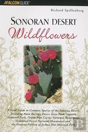 Sonoran Desert Wildflowers