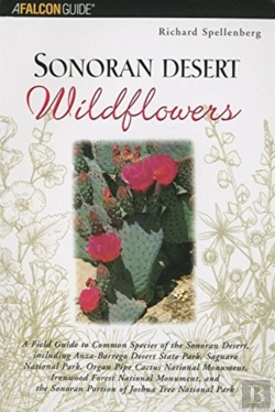 Bertrand.pt - Sonoran Desert Wildflowers