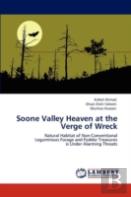 Soone Valley Heaven At The Verge Of Wreck