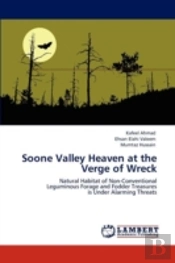 Soone Valley Heaven At The Verge Of Wreck