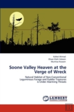 Bertrand.pt - Soone Valley Heaven At The Verge Of Wreck