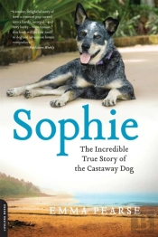 Sophie