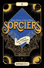 Sorciers Tome 1 : Les Sources De L'Ombre