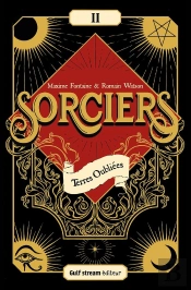 Sorciers Tome 2 : Terres Oubliées