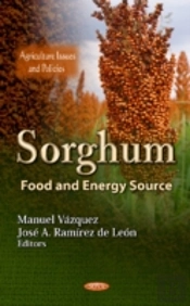 Sorghum