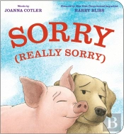 Sorry (Really Sorry)