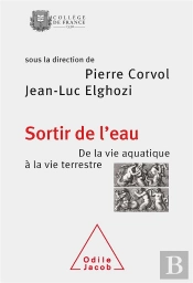 Sortir De L'Eau. De La Vie Aquatique A La Vieterrestre