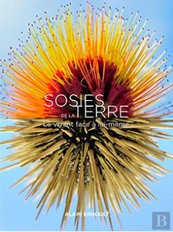 Bertrand.pt - Sosies De La Terre ; Le Vivant Face À Lui-Meê