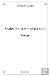 Sosies Pour Un Blues Solo : Roman