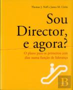 Sou Director, e Agora?