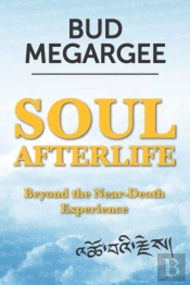 Soul Afterlife